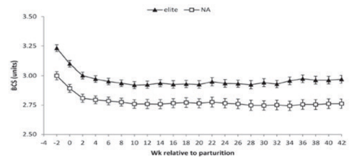 Graph showing that higher EBI cows retain higher levels of BCS over the course of a lactation compared to the national average cow