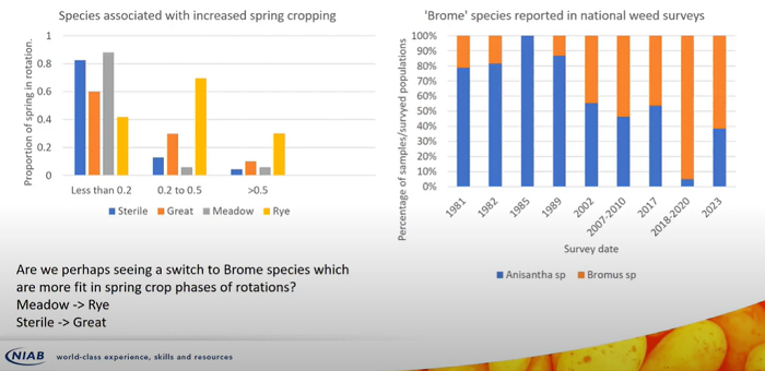 A graph showing the changes in brome species on UK farms