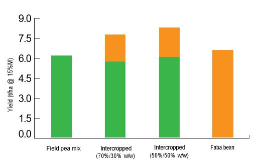 figure 2, information in text