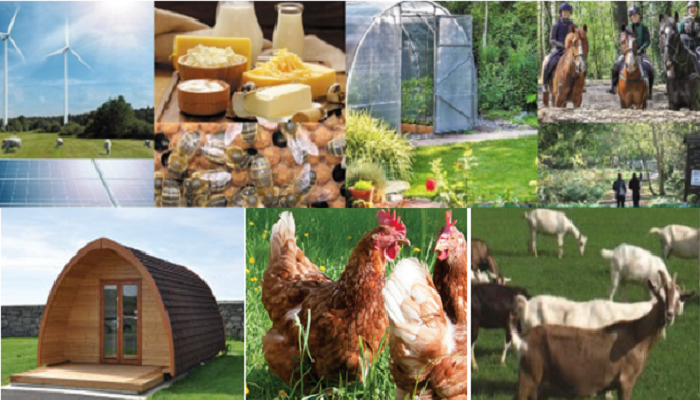 Teagasc highlight Farm Diversification Opportunities