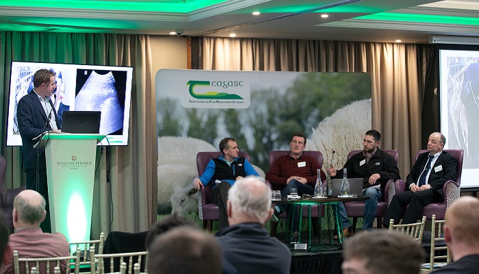 Darren Carthy John O Connell Patrick Dunne and Michael Gottstein