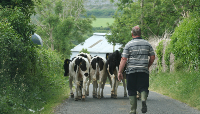 One in three farmers are over 65