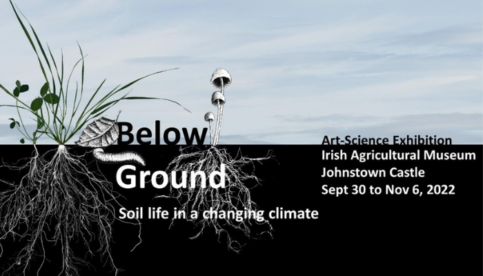Below ground: soil life in a changing climate