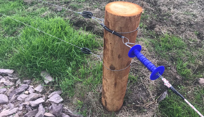 Grazing infrastructure incentivised under TAMS 3