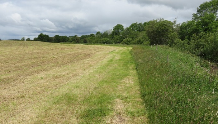 Your ACRES Plan