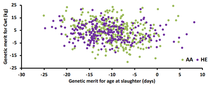 Figure 1. The relationship between breeding values for carcass weight (Cwt) and age at slaughter for Angus and Hereford sires