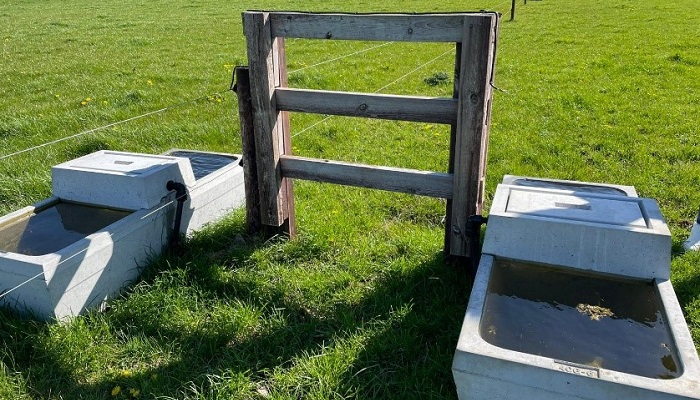 Creep grazing system set up on Michael McGuigan’s farm