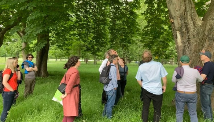 Novel forest tree breeding for tolerance to abiotic and biotic stress