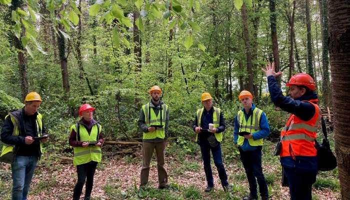 5 steps to understanding your forest's potential
