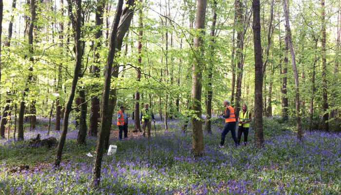 Teagasc Forestry Development Department (FDD) presented its innovative “outdoor classroom “educational programme to the European annual meeting of the Integrate Network in Madrid