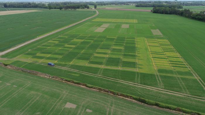 TResearch Summer 2024