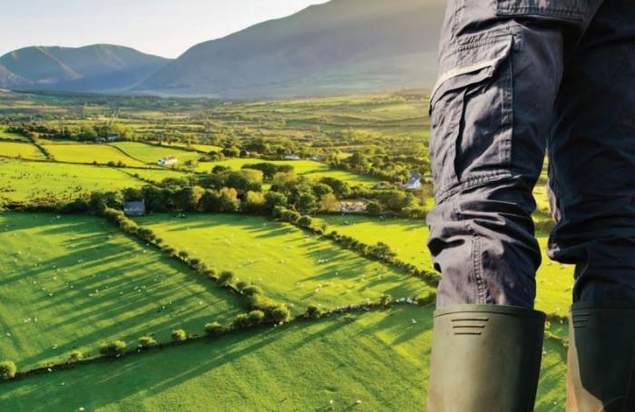 Sustainable Transition of the Rural Economy Through Generational Renewal