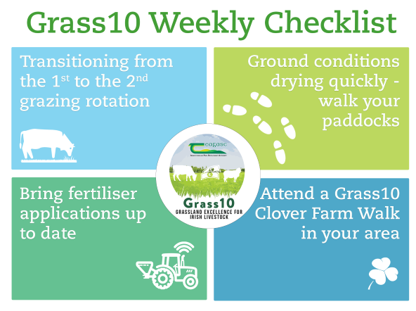 Grass 10 weekly checklist: Transitioning from the first to the second rotation