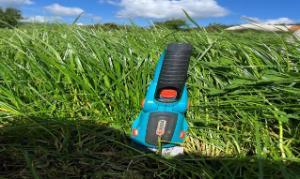 grass and clippers