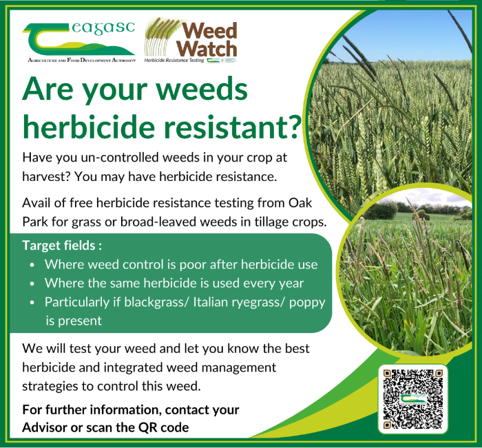 grass weeds testing graphic, all details in text