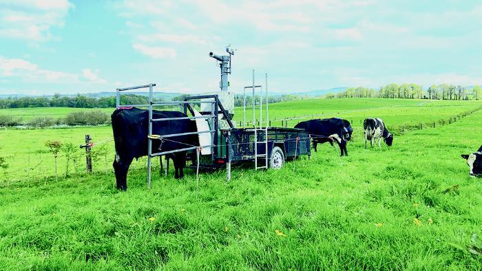Dairy cows using a GreenFeed unit for methane measurement at Teagasc Moorepark