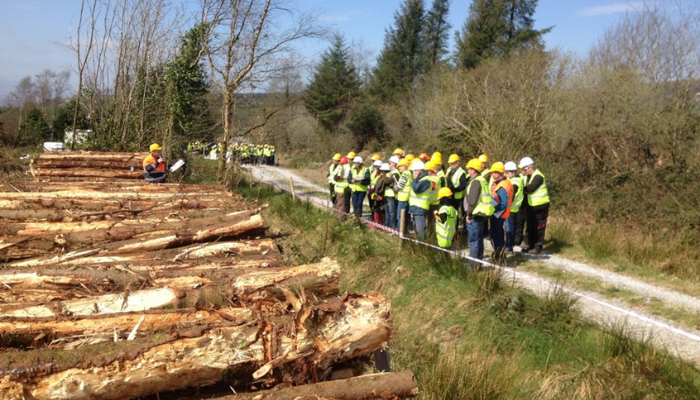 Updates on forestry storm damage supports