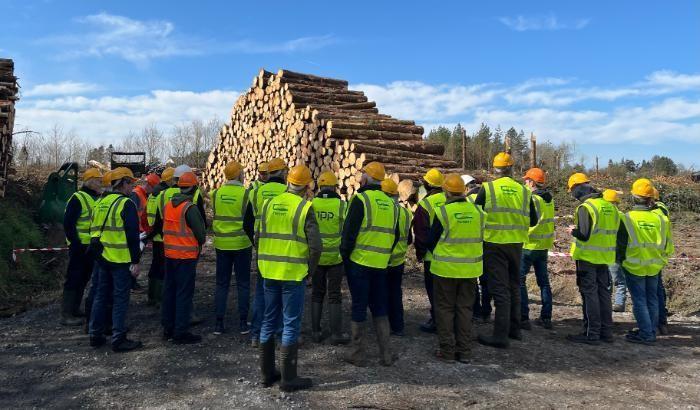 Post-Storm Forestry Harvesting Demonstration in Co Roscommon on April 8
