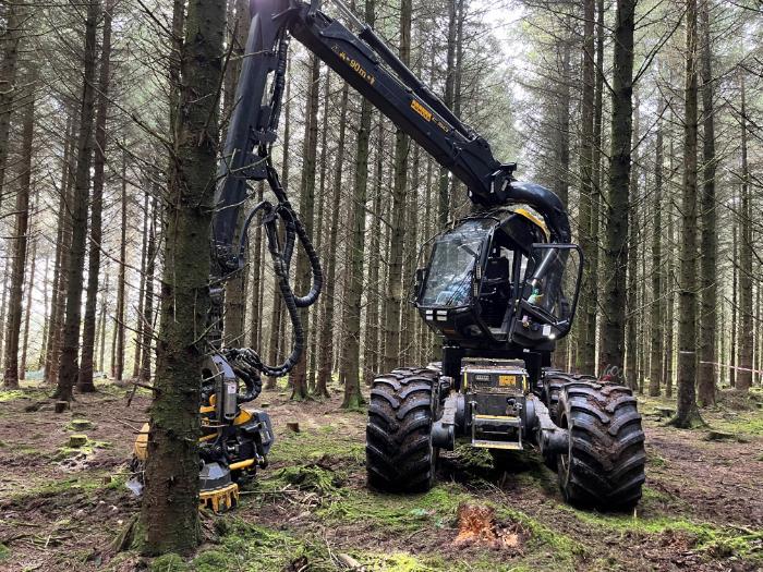 Image of the harvester machine at Fossy Hill. The head has a chainsaw and delimber to fell and process stems, and the machine runs on hydrogenated vegetable oil (HVO)
