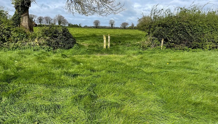 heavy grass cover on John Dunnes farm in Rathfeston