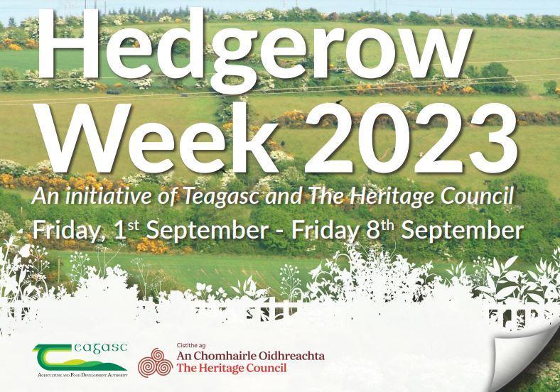 What's happening during Hedgerow Week 2023?
