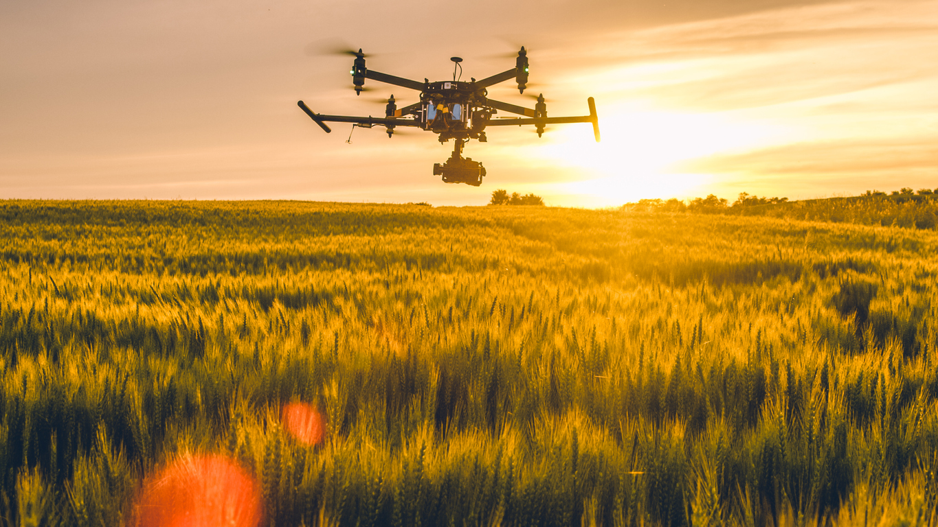 Digital potential of a sustainable natural economy