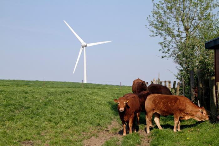 Unlocking renewable energy potential for farmers in Ireland