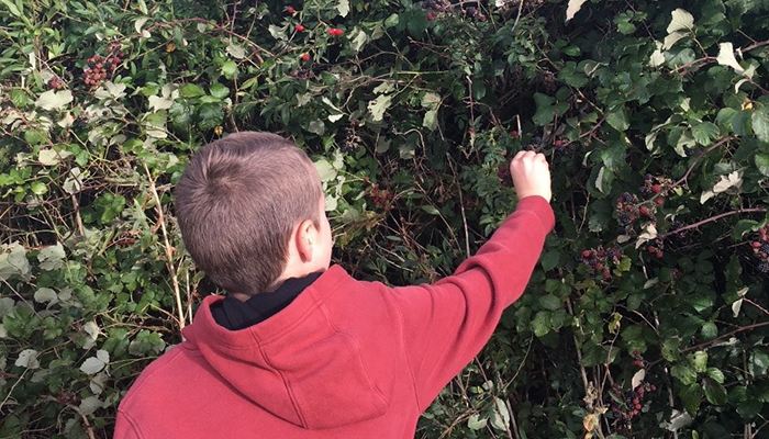 What’s on our Nature table? A lesson in integrating biodiversity