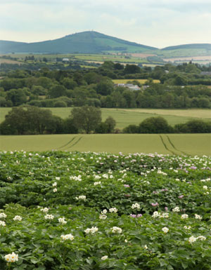 land_selection