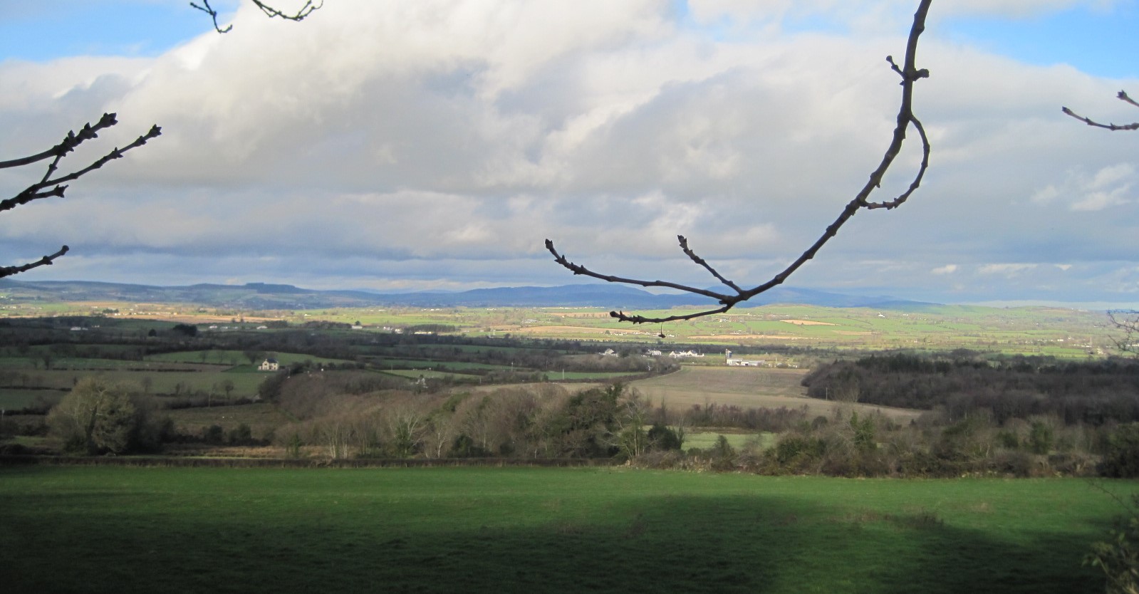Image of Ballycanew landscape