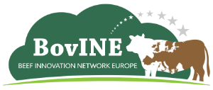 BovINE Logo