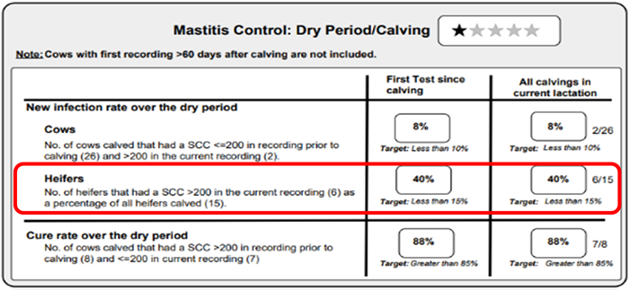 An example of a report generated post milk recording, showing the number of cows and heifers tested and how the mastitis control programme performed over the dry and calving period
