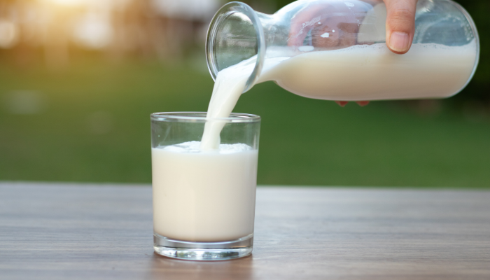 Irish grass-fed cows produce more nutritious milk