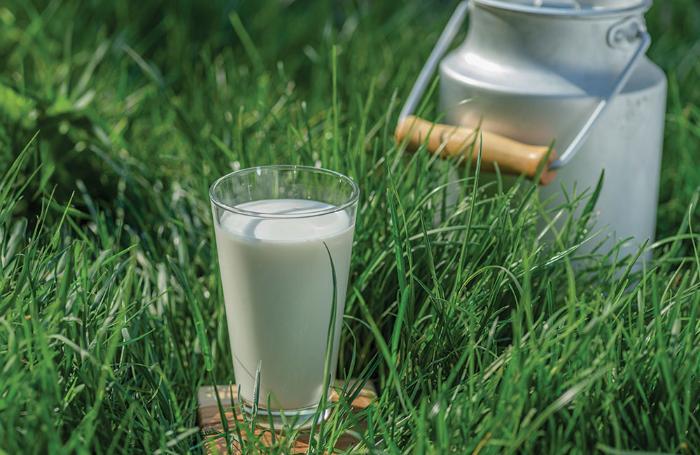 Pasture, present and future