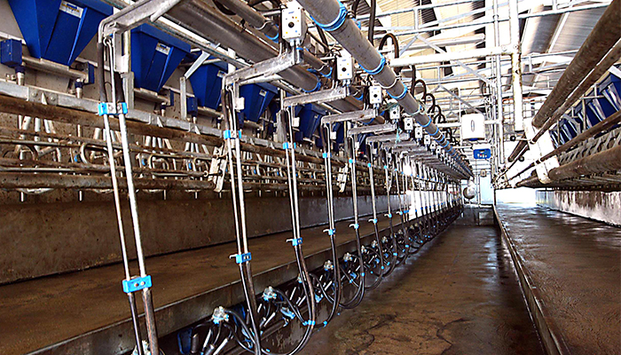 Keep thermoduric bacteria counts under control this autumn