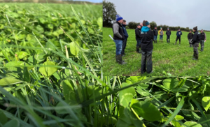 monitor farmers group meeting on Tom Murphys farm
