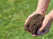 national soil fertility hands holding soil