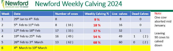newford weekly calving 2024