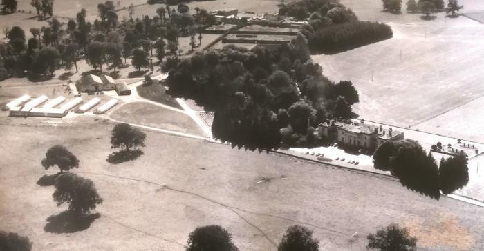 TResearch Summer 2024