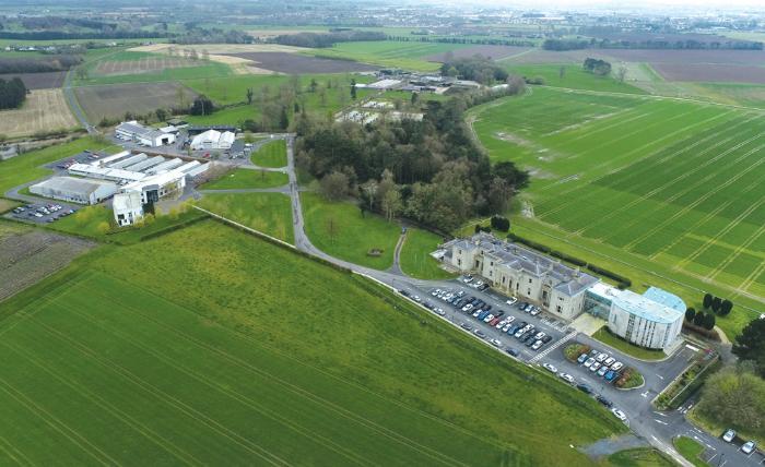 TResearch Summer 2024