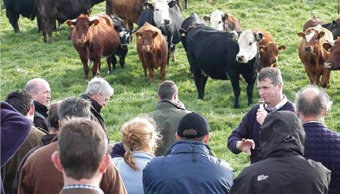 Are you considering converting to Organic Farming?