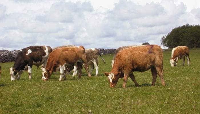 ‘Knowledge gap’ in organic conversion to be addressed in new research project