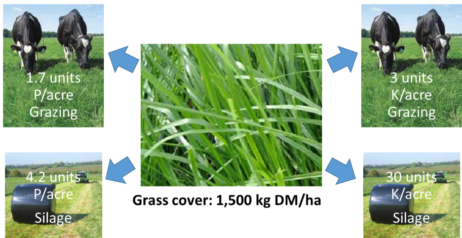 Maintenance P and K requirements for Grazing and surplus bales