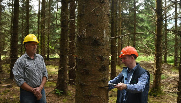 Keeping faith with forestry