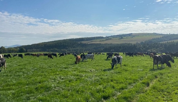 Grass 10 Featured Farmer - Philip & John Tyndall, Co. Wexford