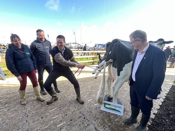 New livestock simulators launched at National Ploughing Championships 