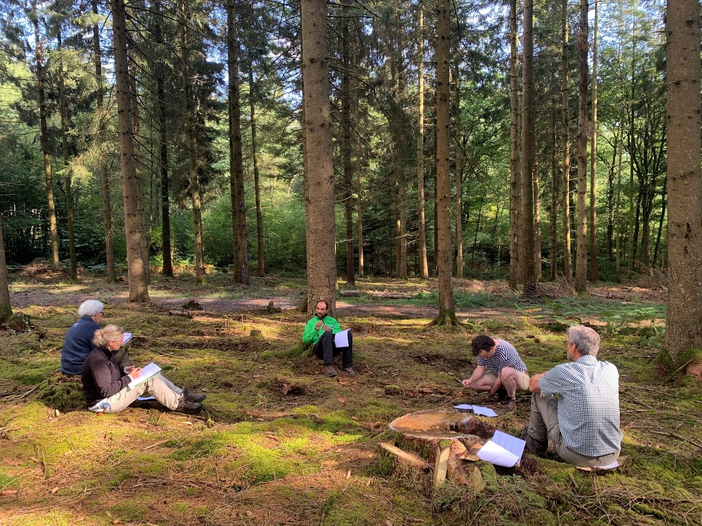 MOOCFORCHANGE participants being inspired by forest managed with CCF principles during a brain-storming meeting