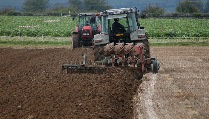 Risk mitigation advice for tillage farms
