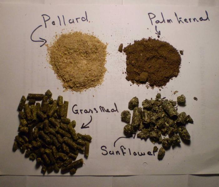 An image of various ingredients including: pollard palm kernal grassmeal and sunflower
