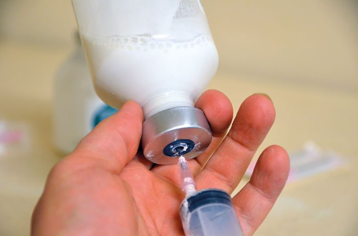 Finding alternative ways to treat bovine mastitis